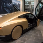 tesla robotaxi
